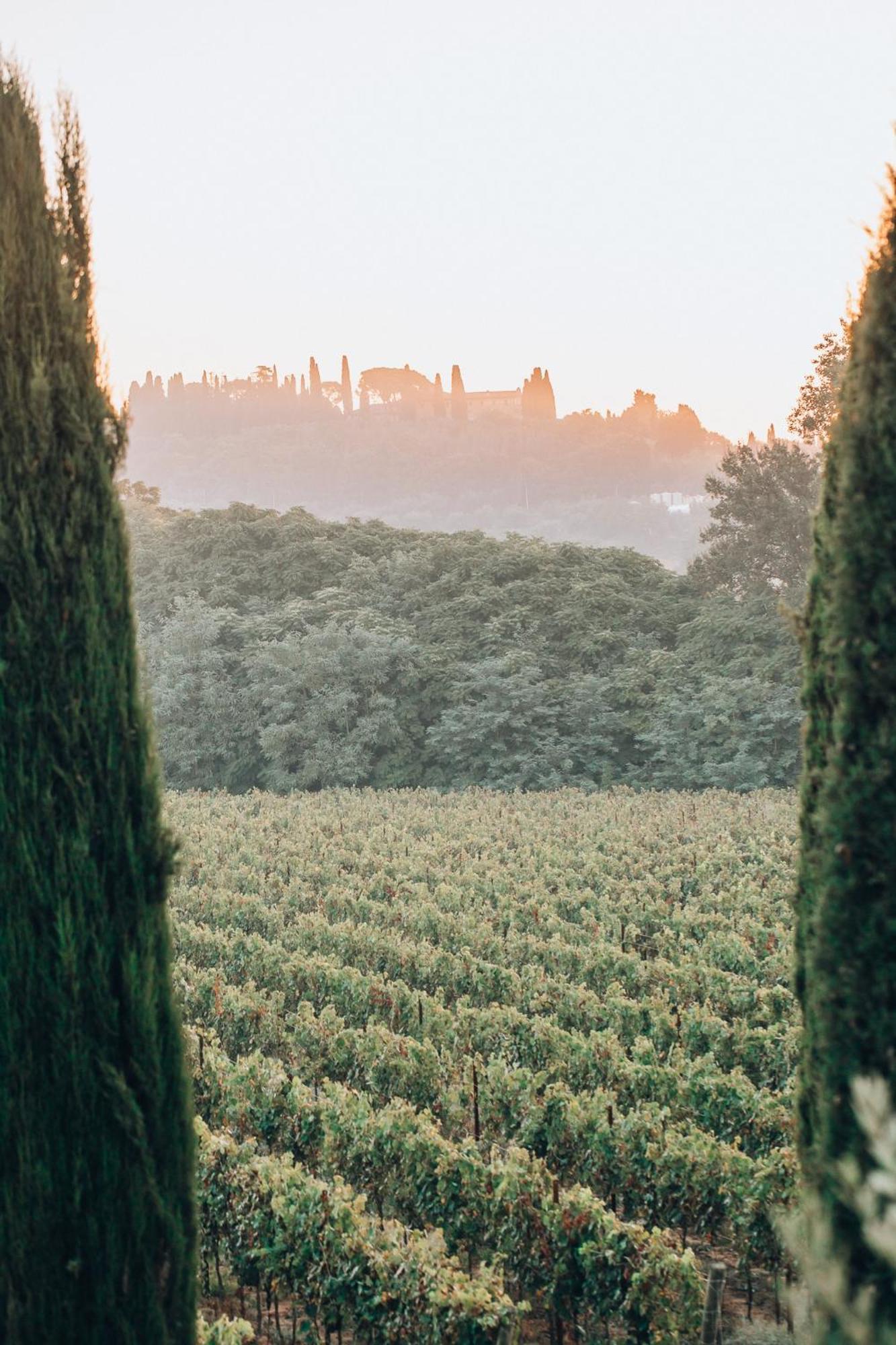 Borgo San Vincenzo Hotel Montepulciano Exterior photo